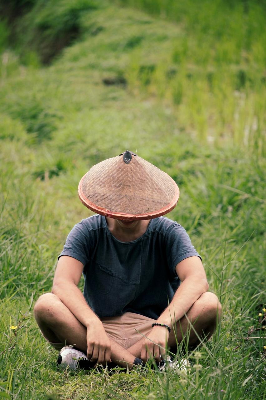 Traditional Balinese temple surrounded by tropical vegetation