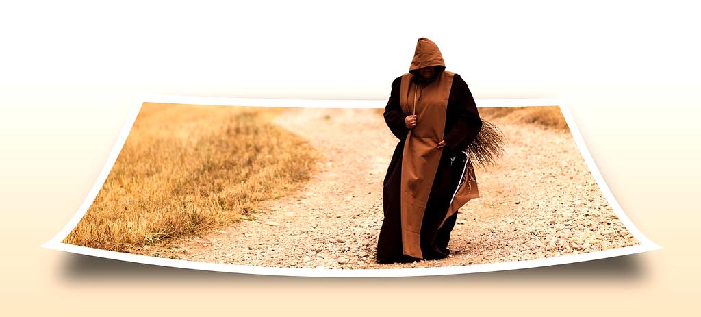 Categorized expense breakdown chart