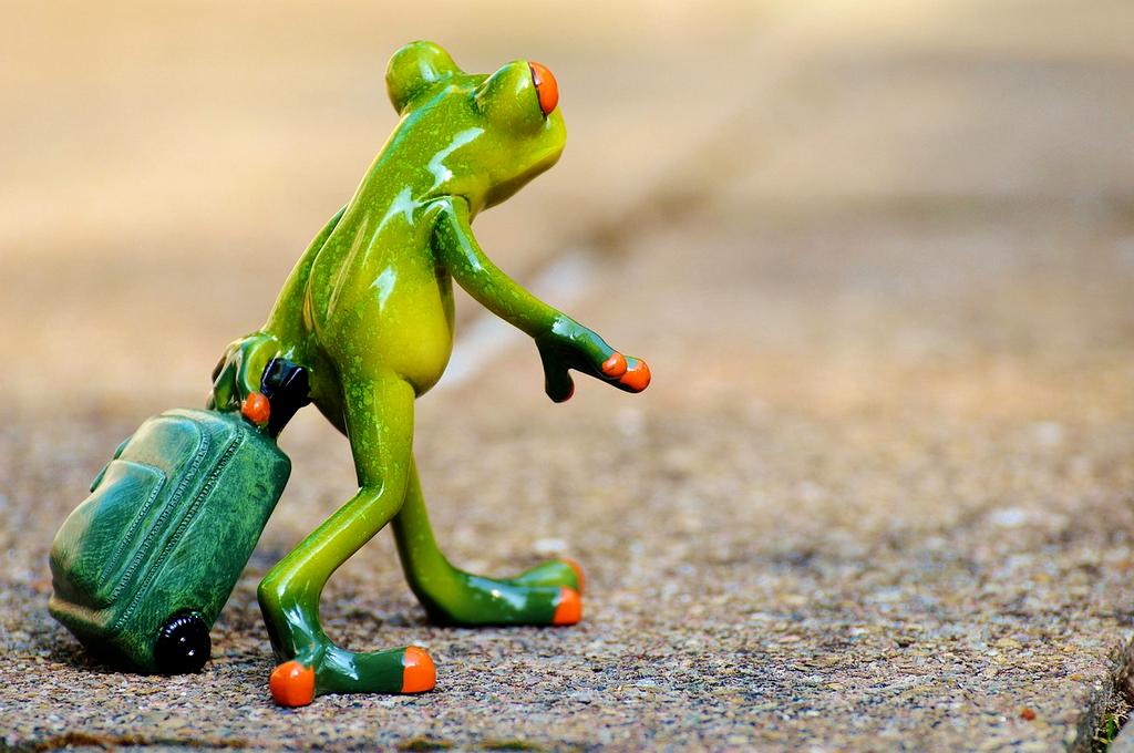 Money back guarantee badge