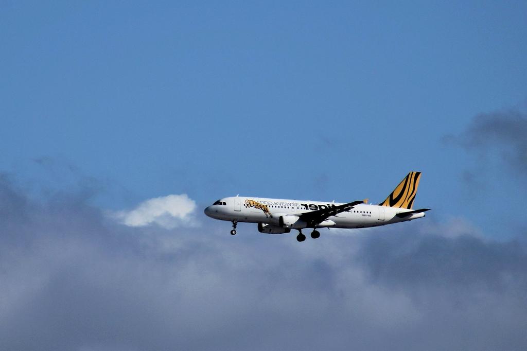 Predictive analytics dashboard